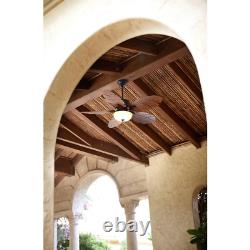 Home Decorators Palm Cove 52 in. LED Indoor/Outdoor Natural Iron Ceiling Fan